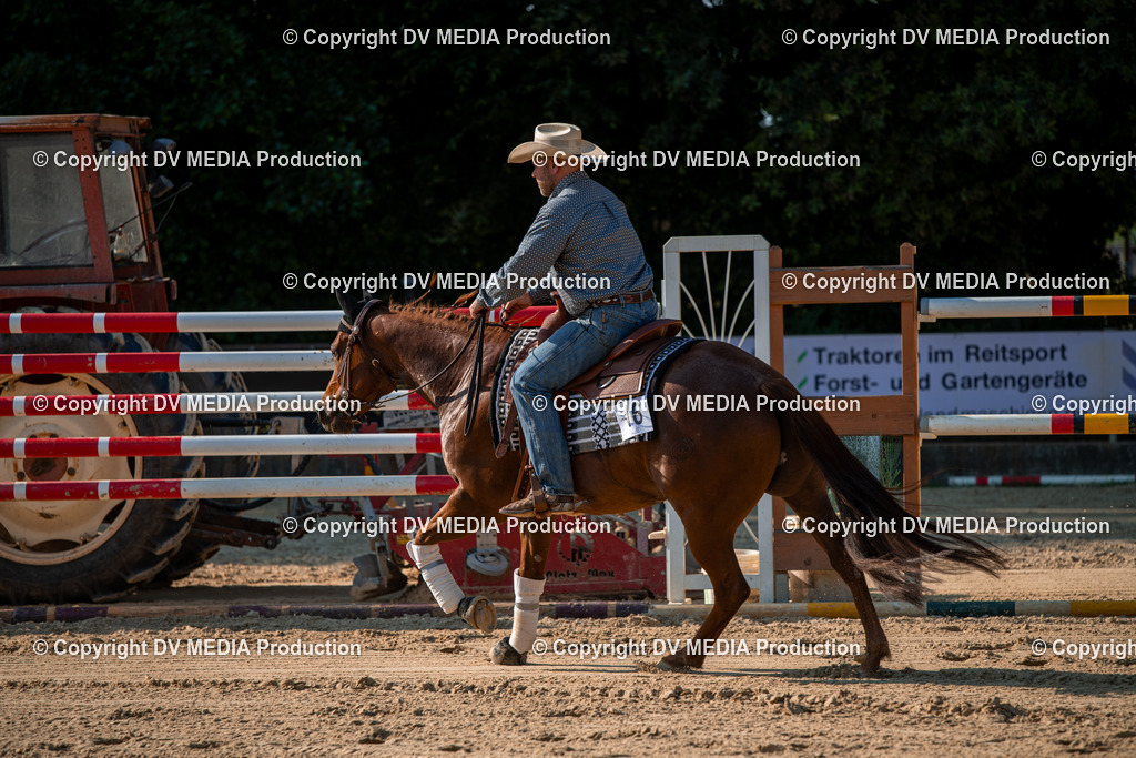 ZS2_8909 | dv-media-shop - Realisiert mit Pictrs.com