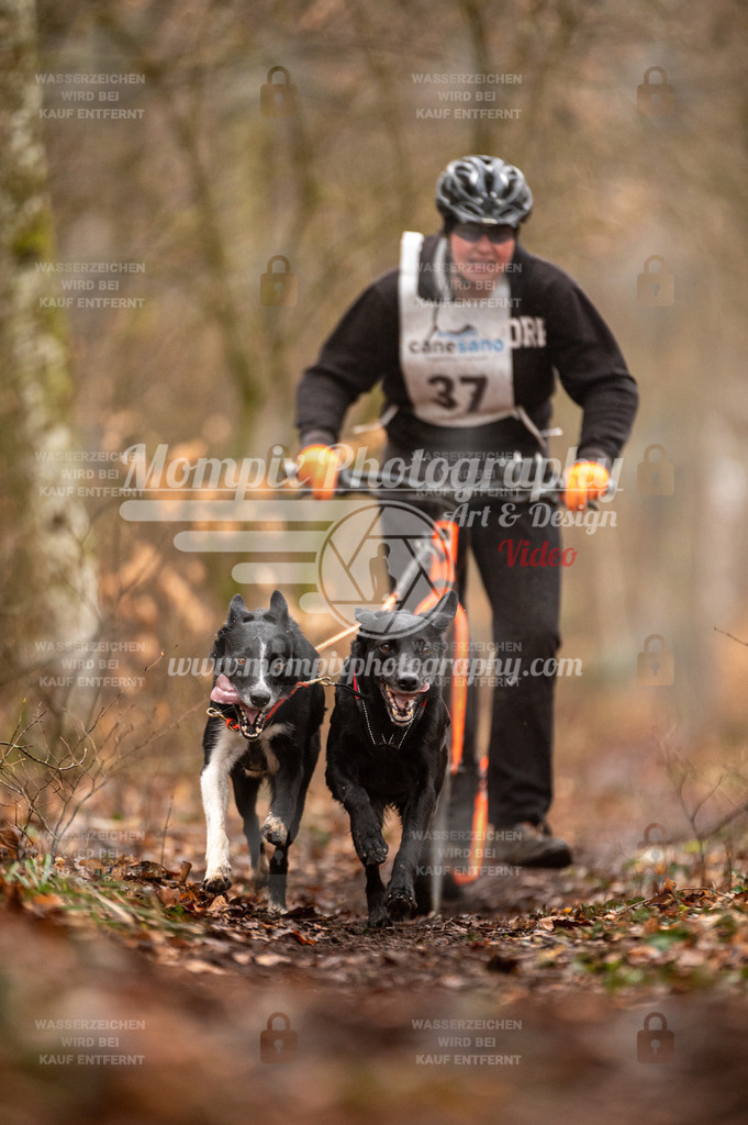 Reiat2023_SON_DS2_5km_2H-30 | mompixphotography