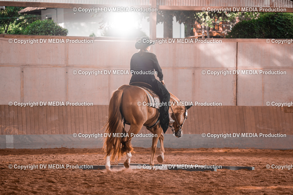 NE200150 | dv-media-shop - Realisiert mit Pictrs.com