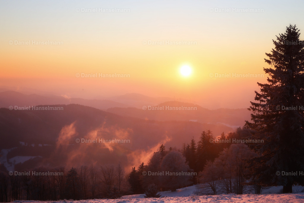 IMG_1467 | Hier finden Sie Poster, Leinwandfotos sowie viele weitere Fotoprodukte mit Motiven aus dem Schwarzwald, aus Freiburg und dem Kaiserstuhl zum Download und zum Bestellen.  - Realisiert mit Pictrs.com