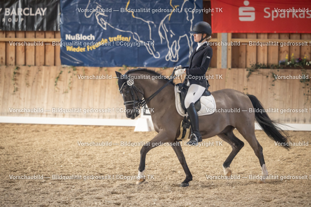 _D5A2860 | Emotionale Pferde- & People-Fotografie rund um Heidelberg, Leimen & Umgebung. Natürliche Fotos von Pferd, Mensch & Familie. Jetzt Termin sichern!