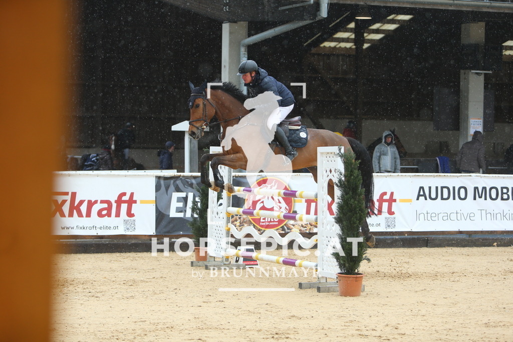 DL2Q8150 | Willkommen bei Brunnmayr - Design & Fotografie – Ihrem Spezialisten für Reitturniere und Pferdeveranstaltungen in Oberösterreich, Salzburg und Bayern! Seit über 17 Jahren sind wir leidenschaftlich dabei.