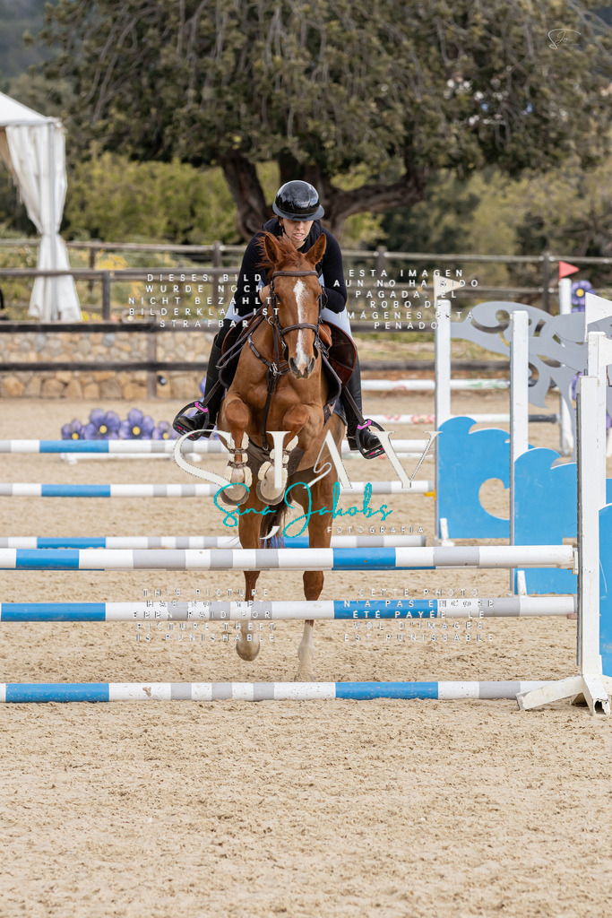 IMG_4616 | s-jay-photography - Realisiert mit Pictrs.com