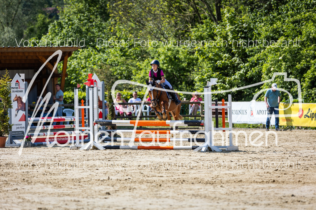 Donop24-ESpr-090 | MomenTaufnahmen Pferdesportfotos