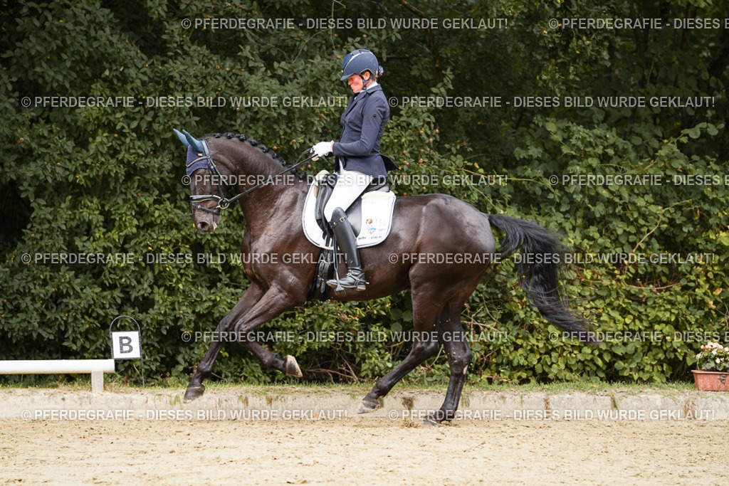 DSC01150 | Pferdegrafie