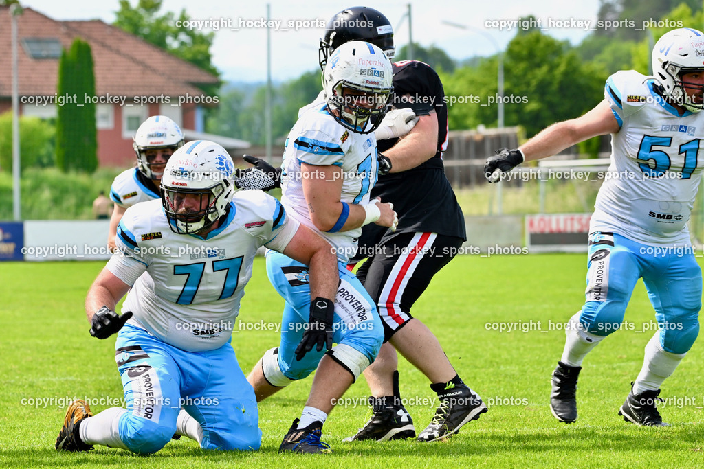 Carinthian Lions vs. Styrian Bears | Carinthian Lions vs. Styrian Bears, Carinthian Lions vs. Styrian Bears am 20.05.2024 in Klagenfurt (ASV Sportplatz), Austria, (Photo by Bernd Stefan)