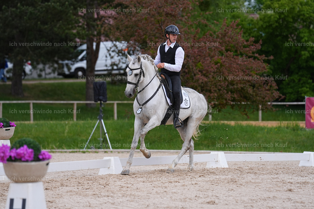 PI26_DR_761_StoibphotographySIN07560.jpg | working equitationturnier fotograf videograf stoibphotography marixx film working equitation deutschland reitsport turnierfotografie eventfotografie equestrian events