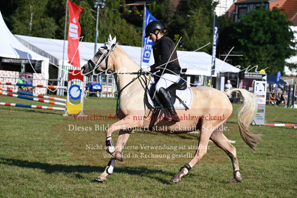 DSC_5037 | Pferde- und Turnierfotografie in Westsachsen. Pferdeportraits, Auftragszeichnungen und intuitive Kunst.