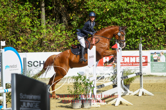 DKP42314 | Turniersportfotografie; Pferdefotografie; Dressurfotografie