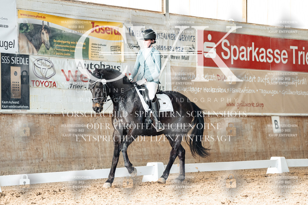 CK903235 | Turnierfotografie Pferdefotografie Trier Rheinland-Pfalz Pferdesport Reitsport Tierfotografie Sportfotografie Pferdevideo Pferdevideografie Equestrianvideography equestrianphotography  - Realisiert mit Pictrs.com