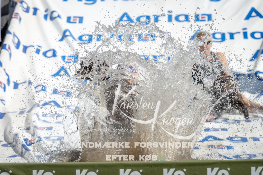 1142_ZZ93463 | kk-dogfotos