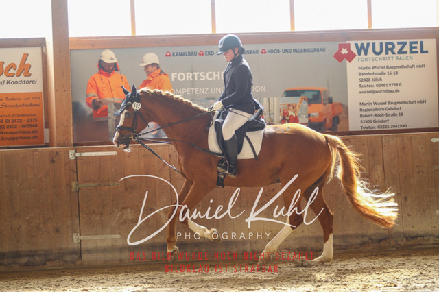 DKP45117 | Turniersportfotografie; Pferdefotografie; Dressurfotografie