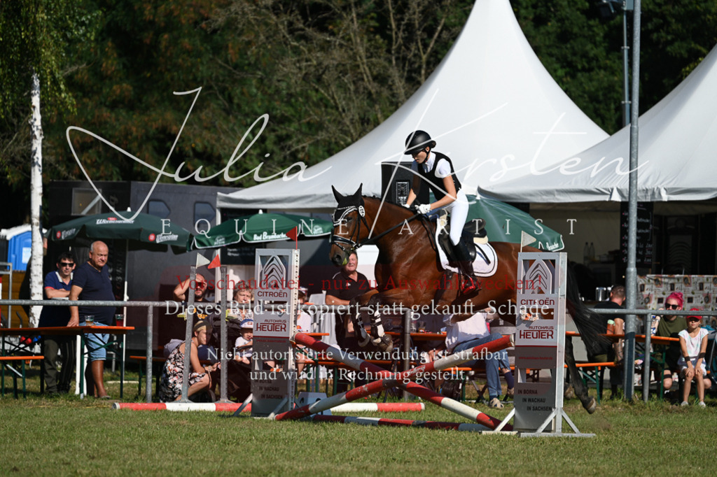 DSC_5289 | Pferde- und Turnierfotografie in Westsachsen. Pferdeportraits, Auftragszeichnungen und intuitive Kunst.