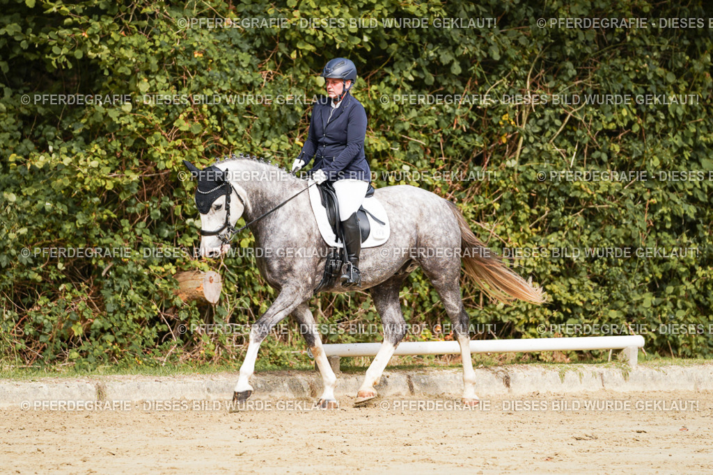 DSC01578 | Pferdegrafie