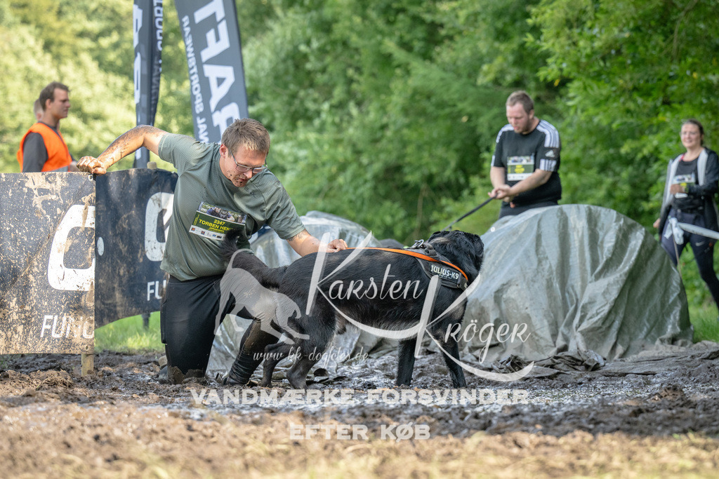 1546_ZZ91741 | kk-dogfotos