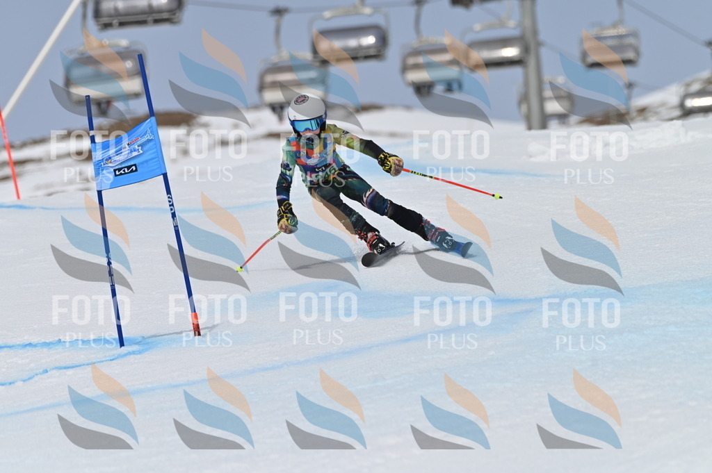 BGV_4871 | holidayphoto