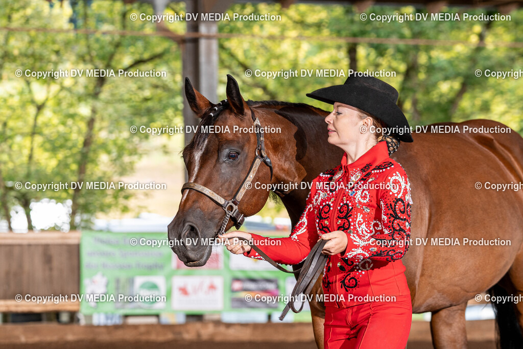 Erbach Tag 3-145 | dv-media-shop - Realisiert mit Pictrs.com