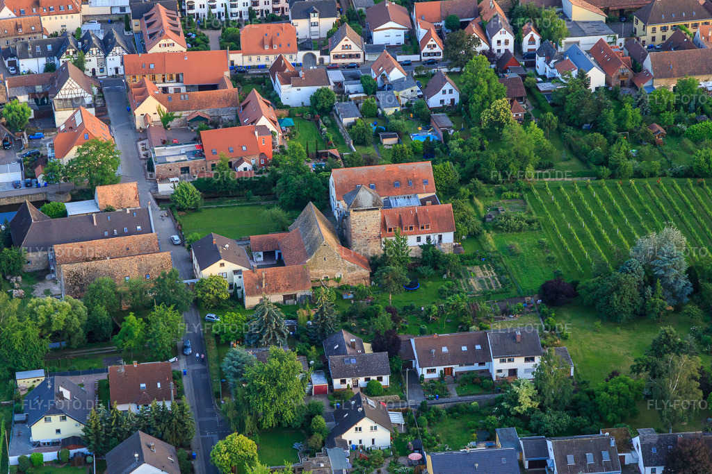 Luftbild: Burg Friedelsheim mit Mennonitengemeinde Friedelsheim K.d.ö.R. in Friedelsheim im Bundesland Rheinland-Pfalz in Deutschland. – Foto: IMG_107733.jpg vom 03.06.2018 durch Werner Riehm/FLY-FOTO.de – Auflösung des Originals: 5472 x 3648 px – Mennonitengemeinde Friedelsheim