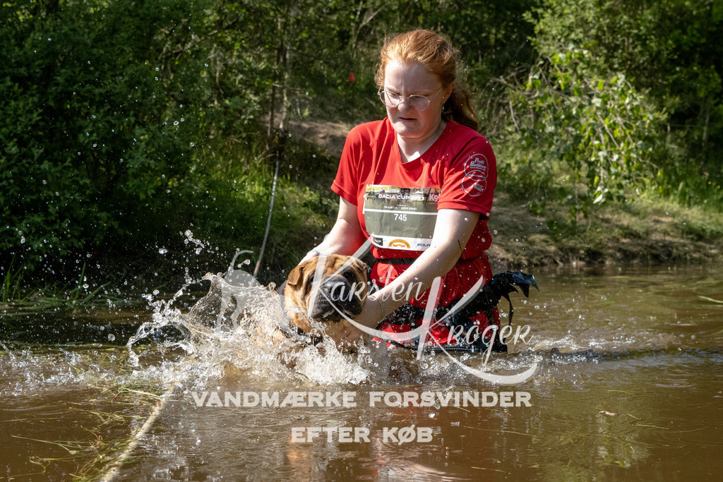 1538DKK991603 | kk-dogfotos