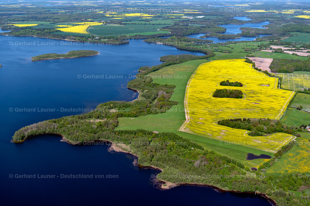 3801169 | Landschaft mit Rapsfeldern am Schaalsee