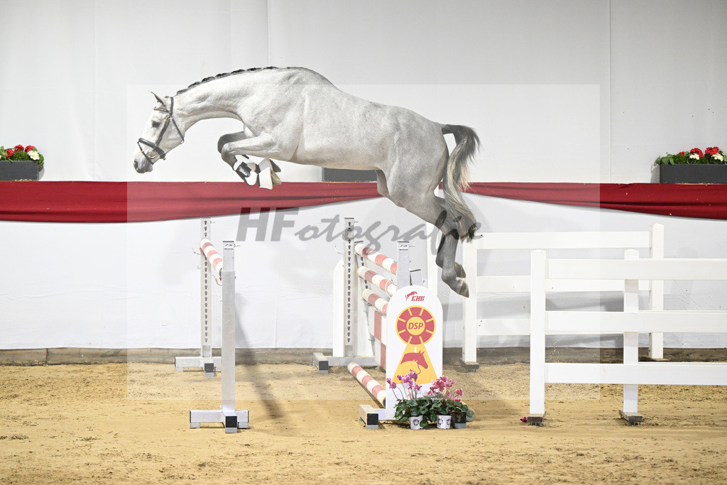 Kat-Nr. 46 v. Clarimo_Hahn u Schleicher_63221134 | hf-fotografie - Realisiert mit Pictrs.com