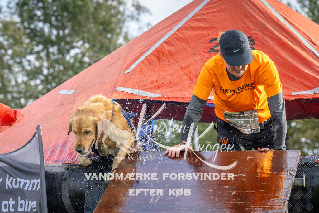 1210-92697 | kk-dogfotos