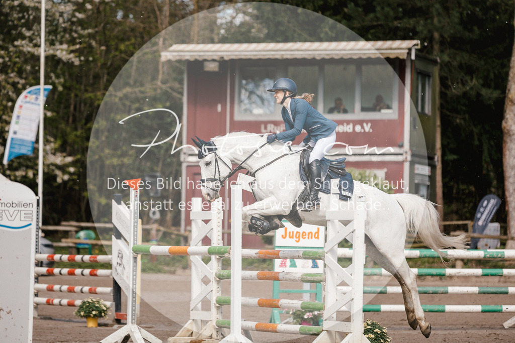 3I6A3998 | Stimmungsvolle Portraits und Reitsportfotografie im Ruhrgebiet und im Münsterland.

Pferdefotografie, Hundefotografie, Tierfotografie, Reportagen, Portraits von Tier und Mensch, Turnierfotografie in Bochum, Recklinghausen, Marl, Haltern am See, Dülmen.. - Realisiert mit Pictrs.com