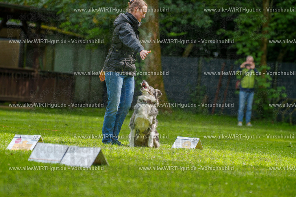 @allesWIRTHgut_Tierfotografie - www.allesWIRTHgut.de - 7R502092 | Professionelle Tierfotografie in Mönchengladbach von Daniel Wirth (allesWIRTHgut). Liebevolle & natürliche Bilder von Hunden & Katzen für unvergessliche Erinnerungen.