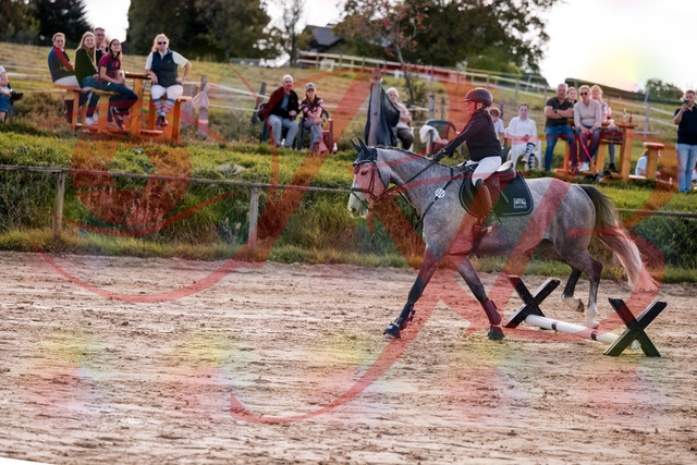 2026_10_03_Siefer-Hof_145111_Z81_29695046 | Professionelle Reitsport-, Turnier- und Eventfotografie von Robert Broda. Galerien mit ausgewählten und bearbeiteten Bildern direkt online ansehen und bestellen.