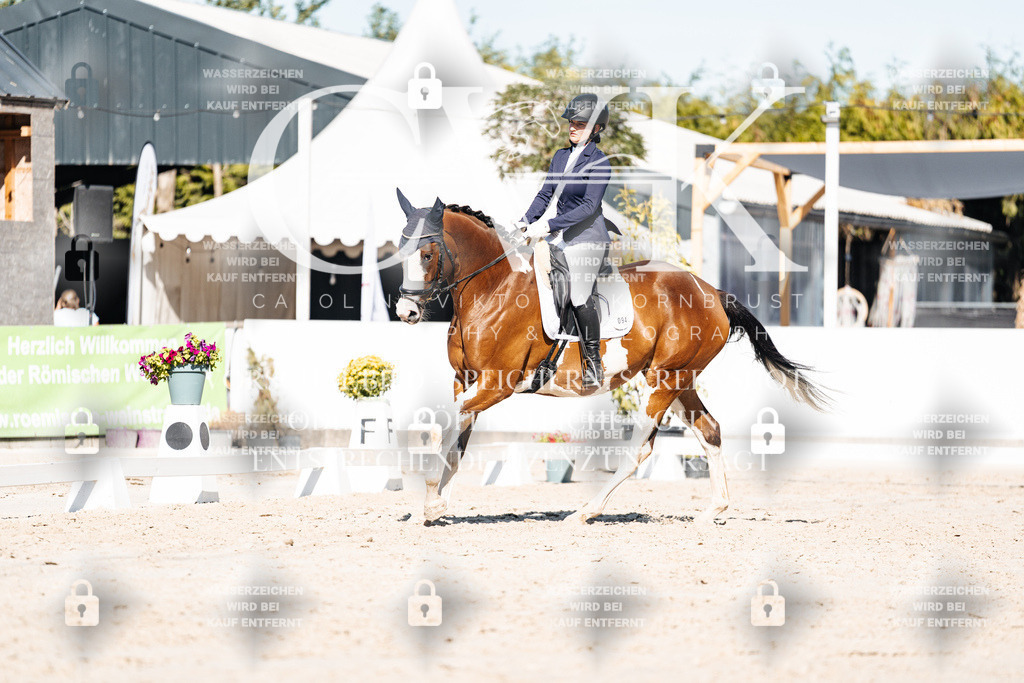 CK908137 | Turnierfotografie Pferdefotografie Trier Rheinland-Pfalz Pferdesport Reitsport Tierfotografie Sportfotografie Pferdevideo Pferdevideografie Equestrianvideography equestrianphotography  - Realisiert mit Pictrs.com
