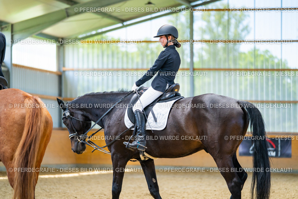 DSC09552 | Pferdegrafie