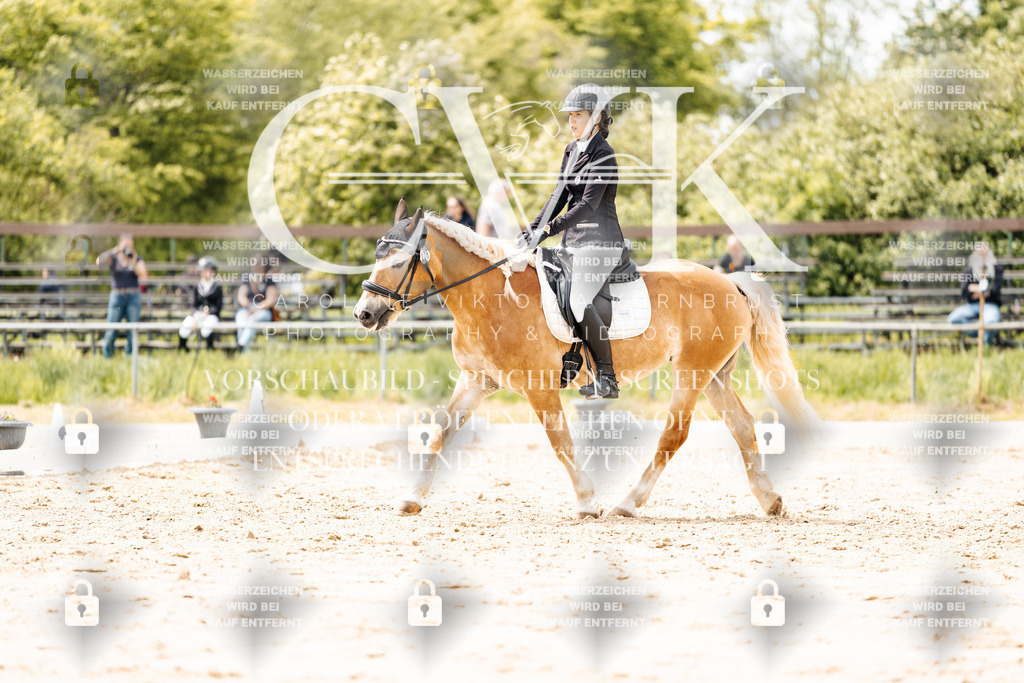 CK902215 | Turnierfotografie Pferdefotografie Trier Rheinland-Pfalz Pferdesport Reitsport Tierfotografie Sportfotografie Pferdevideo Pferdevideografie Equestrianvideography equestrianphotography  - Realisiert mit Pictrs.com