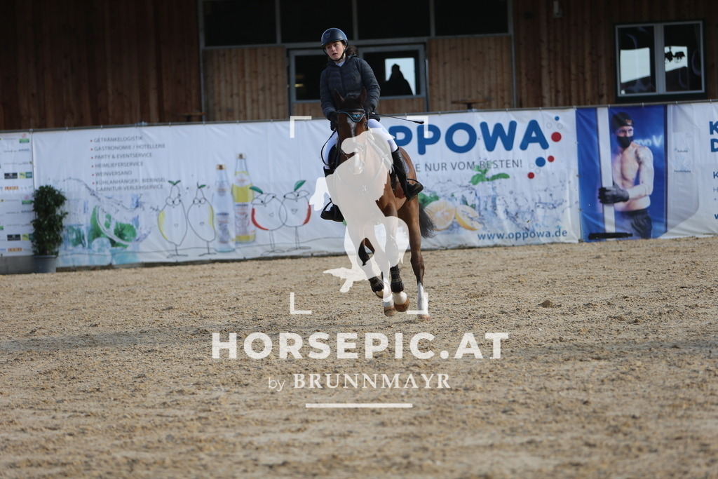 DL2Q8409 | Willkommen bei Brunnmayr - Design & Fotografie – Ihrem Spezialisten für Reitturniere und Pferdeveranstaltungen in Oberösterreich, Salzburg und Bayern! Seit über 17 Jahren sind wir leidenschaftlich dabei.