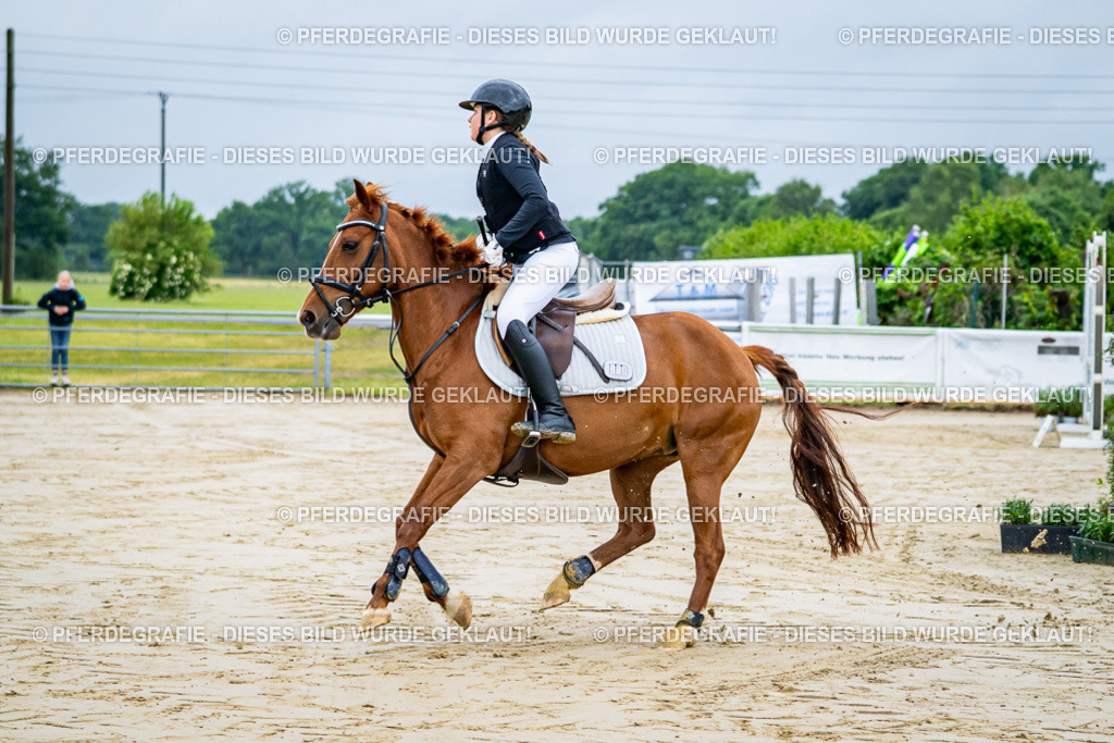 DSC01571 | Pferdegrafie