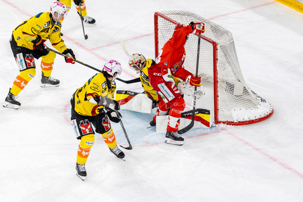 EHCB vs SCB 20260312_wb-4079 | Sportbilder, Sportfotograf, Hochzeits- und Eventfotografin, Flugshows, Portraits und Tiershooting, Aviation, Downhill, Nationalleague, Swissleague, International
