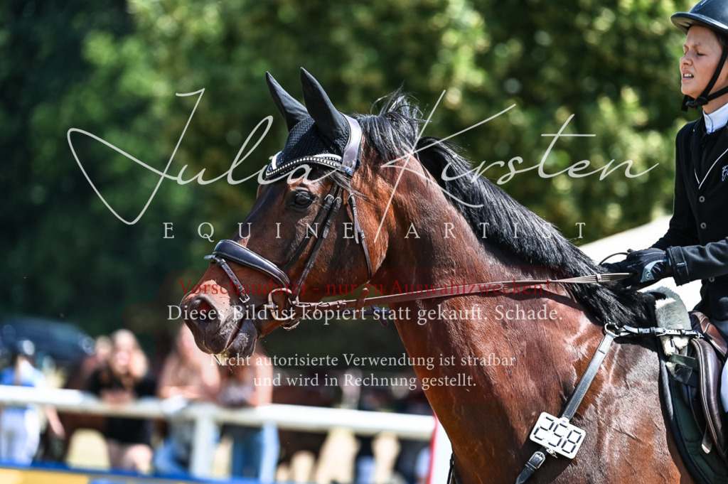 DSC_9869 | Pferde- und Turnierfotografie in Westsachsen. Pferdeportraits, Auftragszeichnungen und intuitive Kunst.