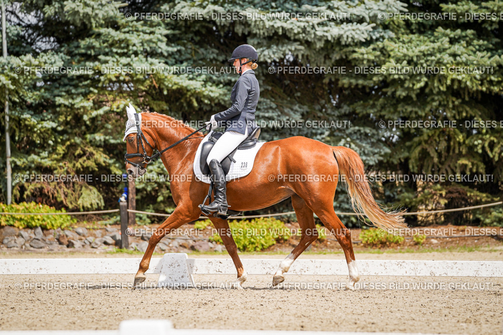 DSC03011 | Pferdegrafie