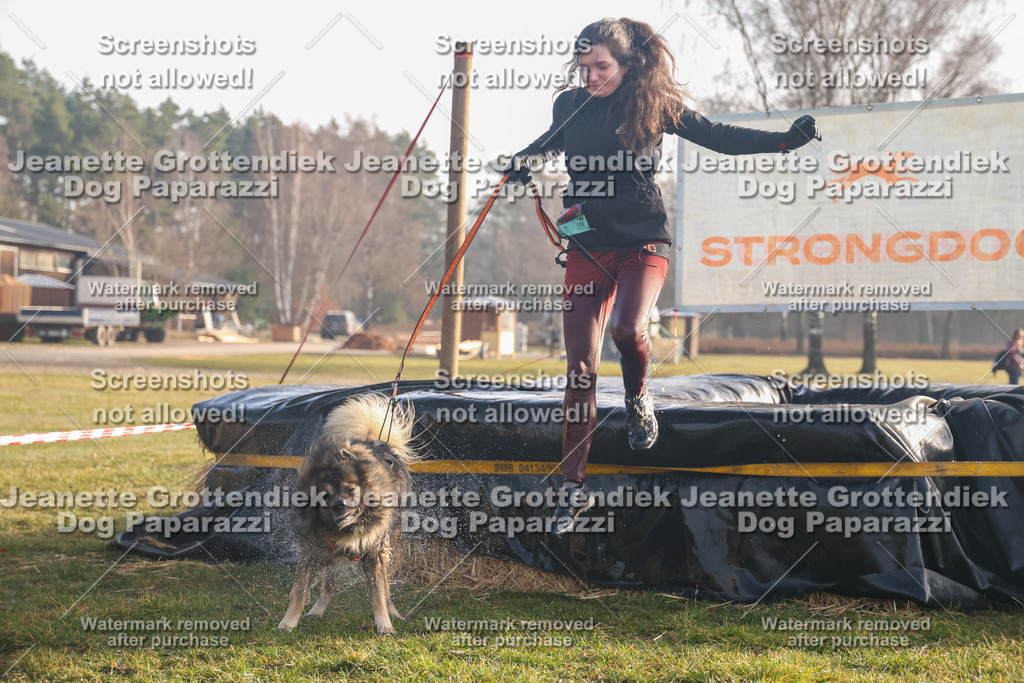 Dog Paparazzi - SD North 0326 900930-79 | Dog Paparazzi Jeanette Grottendiek Fotografie & Videografie - Realisiert mit Pictrs.com