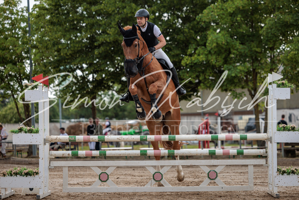 20260531-_3LI3253 | Tierfotografie Pferde, Hunde, Katzen, Haustiere.
Turnierfotografie Reitturniere, Reiten, Springreiten, Dressur in Hanau, dem Main-Kinzig-Kreis und dem Rhein-Main- Gebiet um Frankfurt
