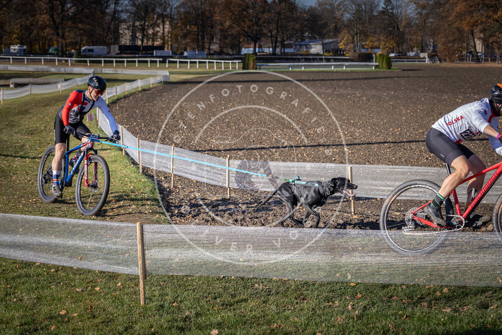 CaniXpix_DV3A3749 | Hundefotografie, Tierfotograf, Pfotenfotografie, Fotoshooting Hund, Hunde Portrait, Hundesport, Hundeportraits, Heideshooting, Hunde, Sportfotograf, Hundefotograf, Turnierhundsport, THS,  - Realisiert mit Pictrs.com