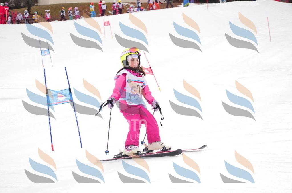 C0035 | holidayphoto