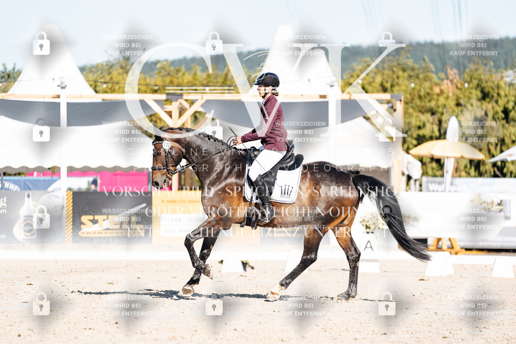 CK907546 | Turnierfotografie Pferdefotografie Trier Rheinland-Pfalz Pferdesport Reitsport Tierfotografie Sportfotografie Pferdevideo Pferdevideografie Equestrianvideography equestrianphotography  - Realisiert mit Pictrs.com