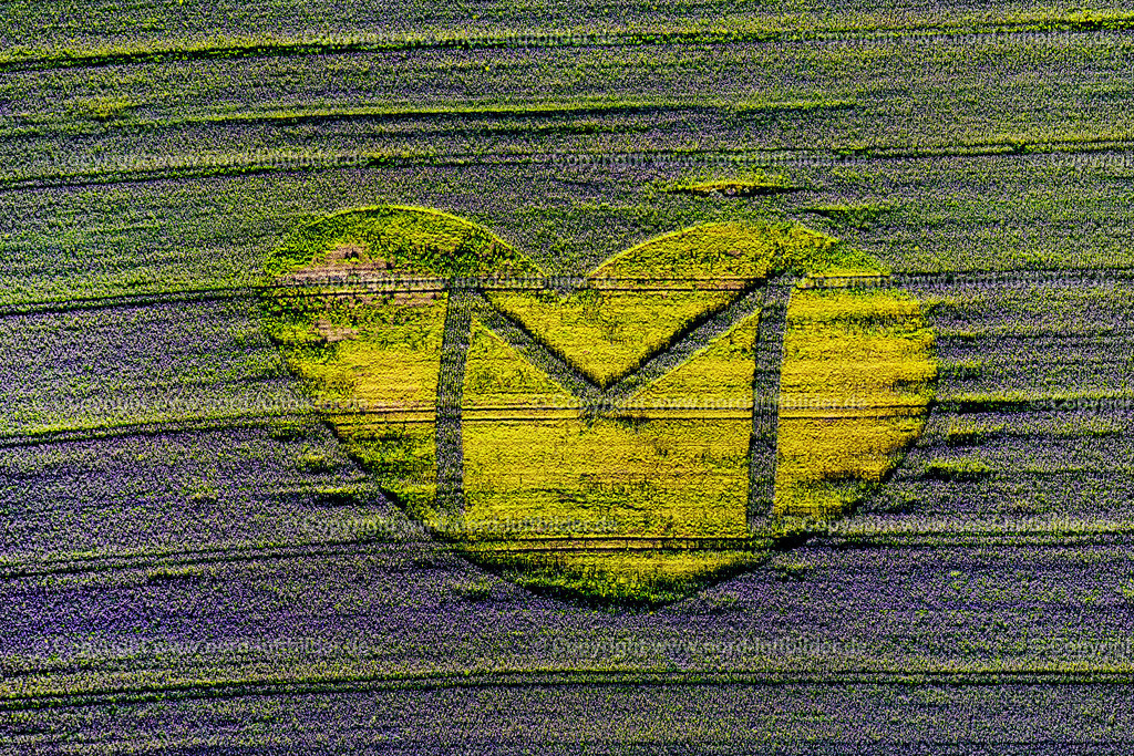 Herz_M_ELS_3796210919 | TIMMENDORFER STRAND 21.09.2019 Landwirtschaftliche Nutzflächen und Feldgrenzen " Liebes Erklärung " umsäumen in Timmendorfer Strand im Bundesland Schleswig-Holstein, Deutschland. // Agricultural land and field boundaries "Dear Declaration" border in Timmendorfer Strand in the state Schleswig-Holstein, Germany. Foto: Martin Elsen