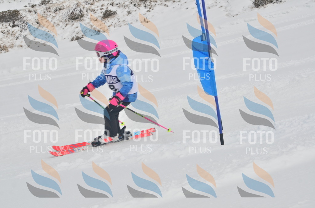 A5140 | holidayphoto