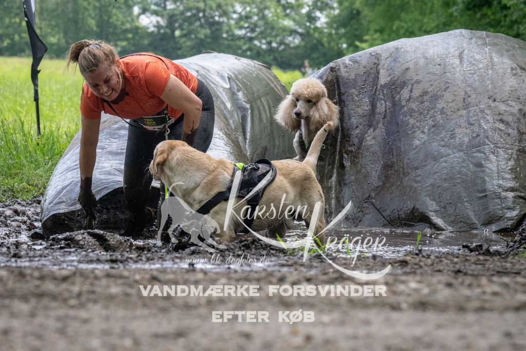 1143_ZZ94145 | kk-dogfotos