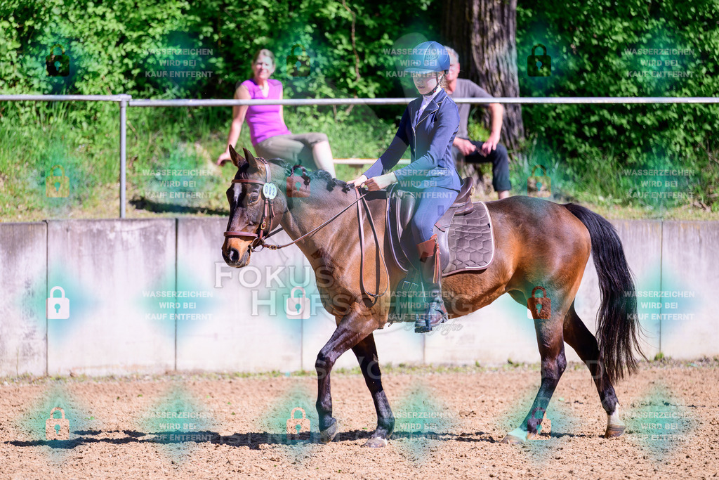 01052026-Giesenbach-02-Stiltrail-0636 | Fokus Hufschlag Fotografie - Realisiert mit Pictrs.com