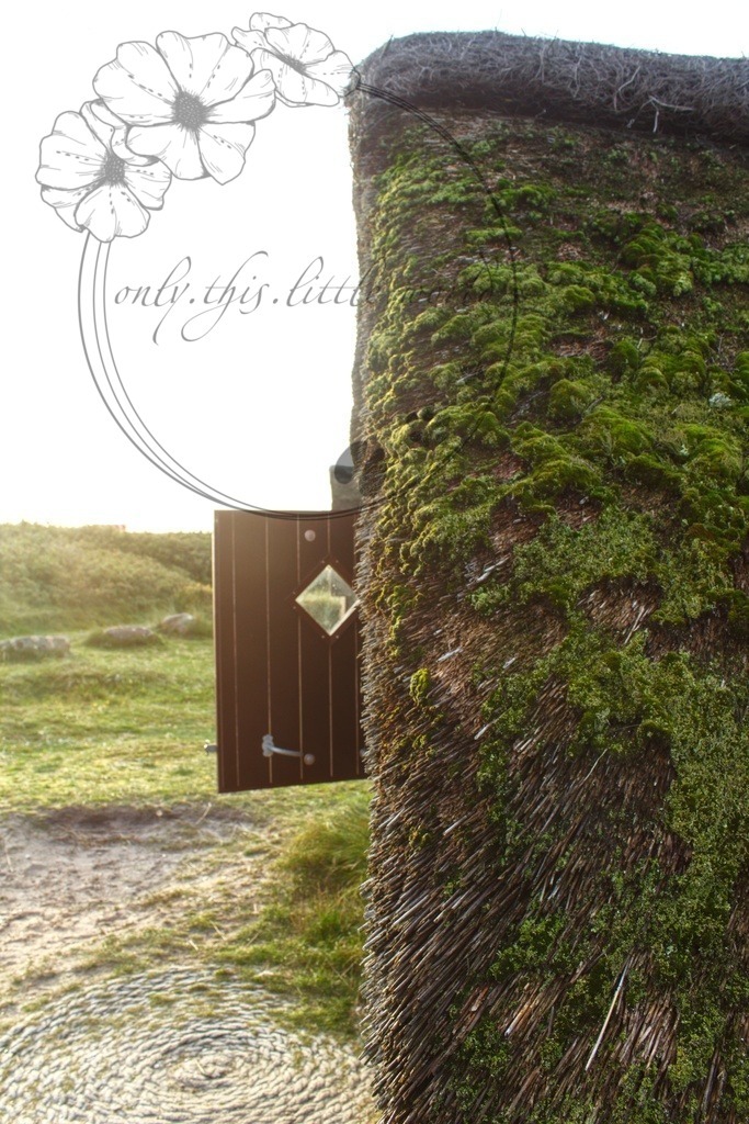 IMG_8926-01 | only.this.little.world - Realisiert mit Pictrs.com