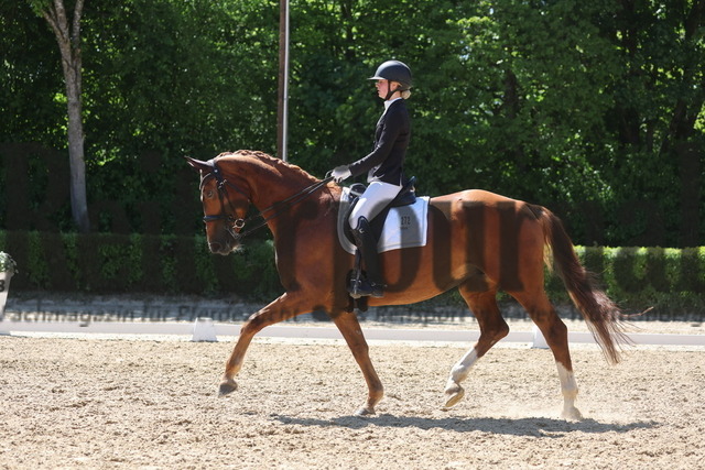 Böblingen_2025_Prfg.Nr.08_Dressurprüfung_Kl.M_Nürnberger Burgpokal_Mila Seiderer_Liljana (9) | Alle Fotos der Reiterjournal Fotografin Doris Matthaes im Reiterjournal Online-Fotoshop. - Realisiert mit Pictrs.com