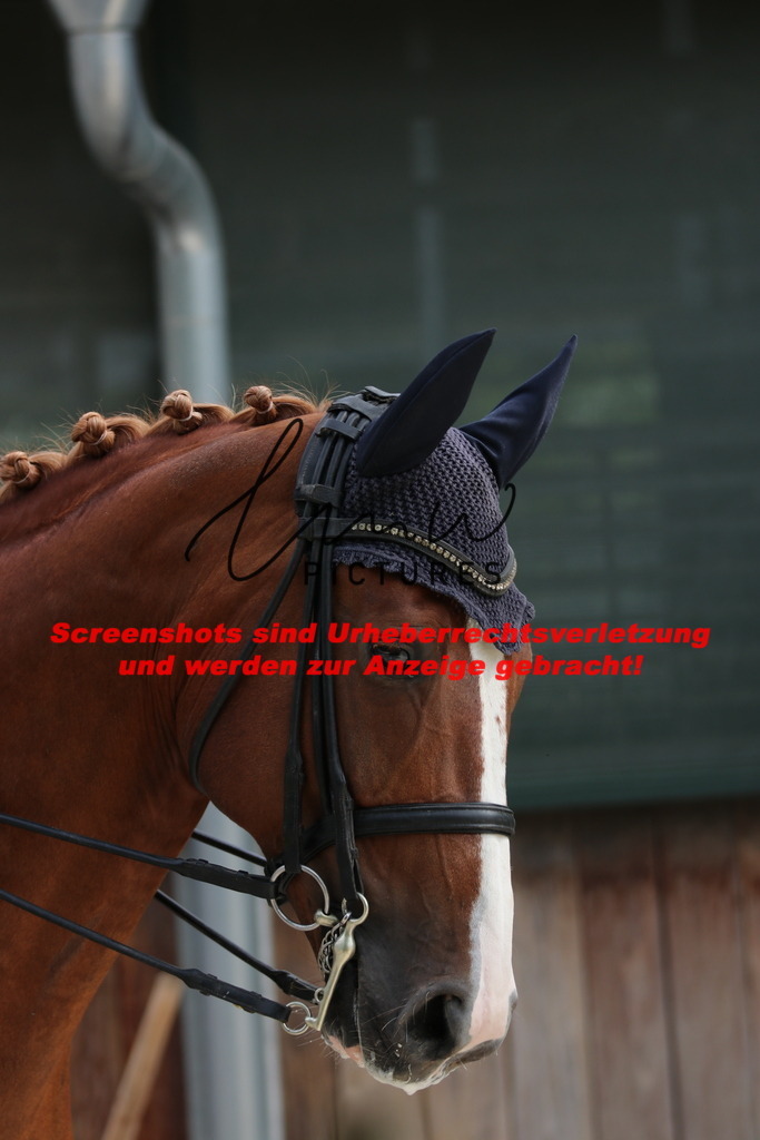 IMG_1557 | lmwpictures - Realisiert mit Pictrs.com