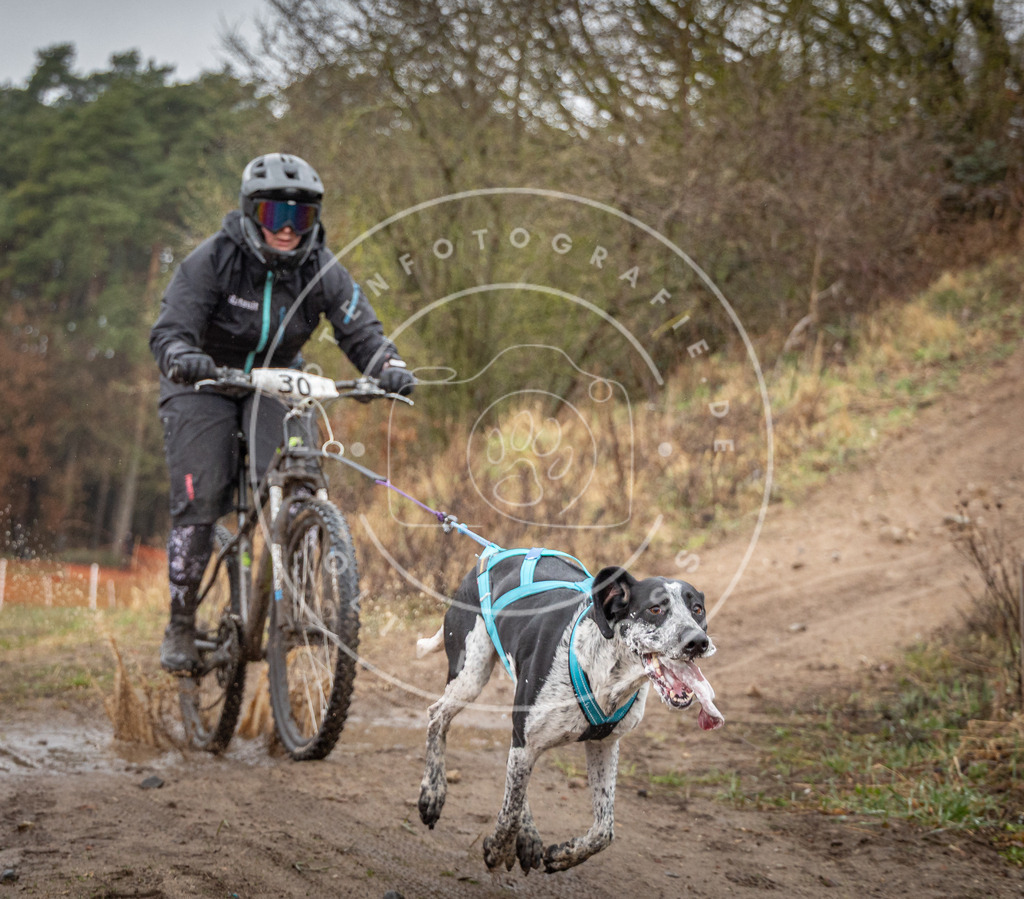 0L8A8944 | Hundefotografie, Tierfotograf, Pfotenfotografie, Fotoshooting Hund, Hunde Portrait, Hundesport, Hundeportraits, Heideshooting, Hunde, Sportfotograf, Hundefotograf, Turnierhundsport, THS,  - Realisiert mit Pictrs.com